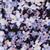 Power 6" Biker Shorts - Paarse bloemenprint - Purple Meadow Print